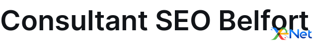 Consultant SEO Belfort
